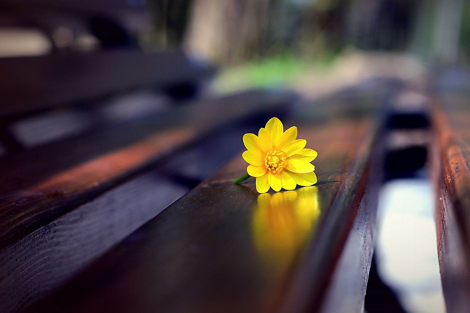 1994年10月24日天蝎座性格特点是,天蝎座2005年11月22日的性格