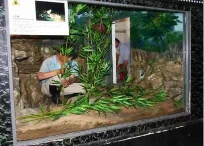 如何让观赏蛇类在人工环境下住得幸福