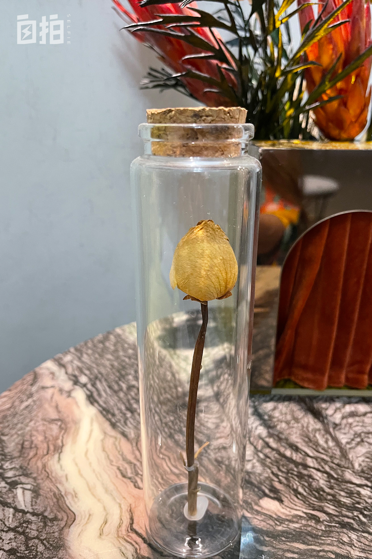 我，俄罗斯人，妈妈借钱供我到中国读书，和大25岁妻子在中国相识