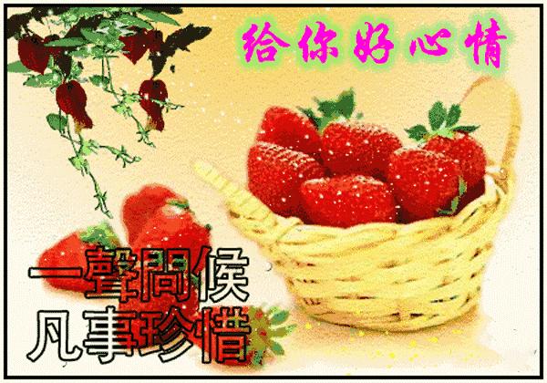 大家早上好祝福语动态图片大图,最新漂亮早上好祝福语动态表情图