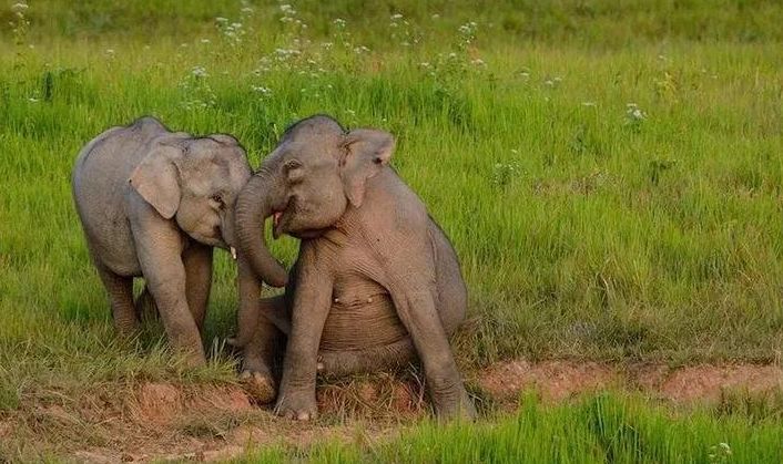 泰国太鲁阁国家公园视频,泰国十大最美国家公园