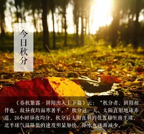 十一本地旅游推荐,十一最适合去哪旅游攻略