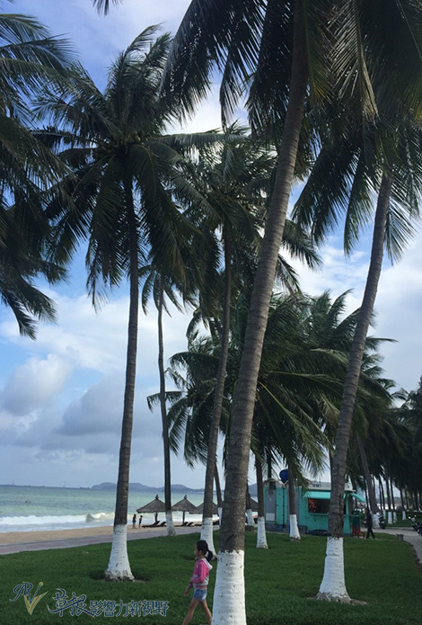 瓒婂崡鑺藉簞娴锋哗鏅尯瑙嗛,瓒婂崡鑺藉簞榛戝矝娴锋哗