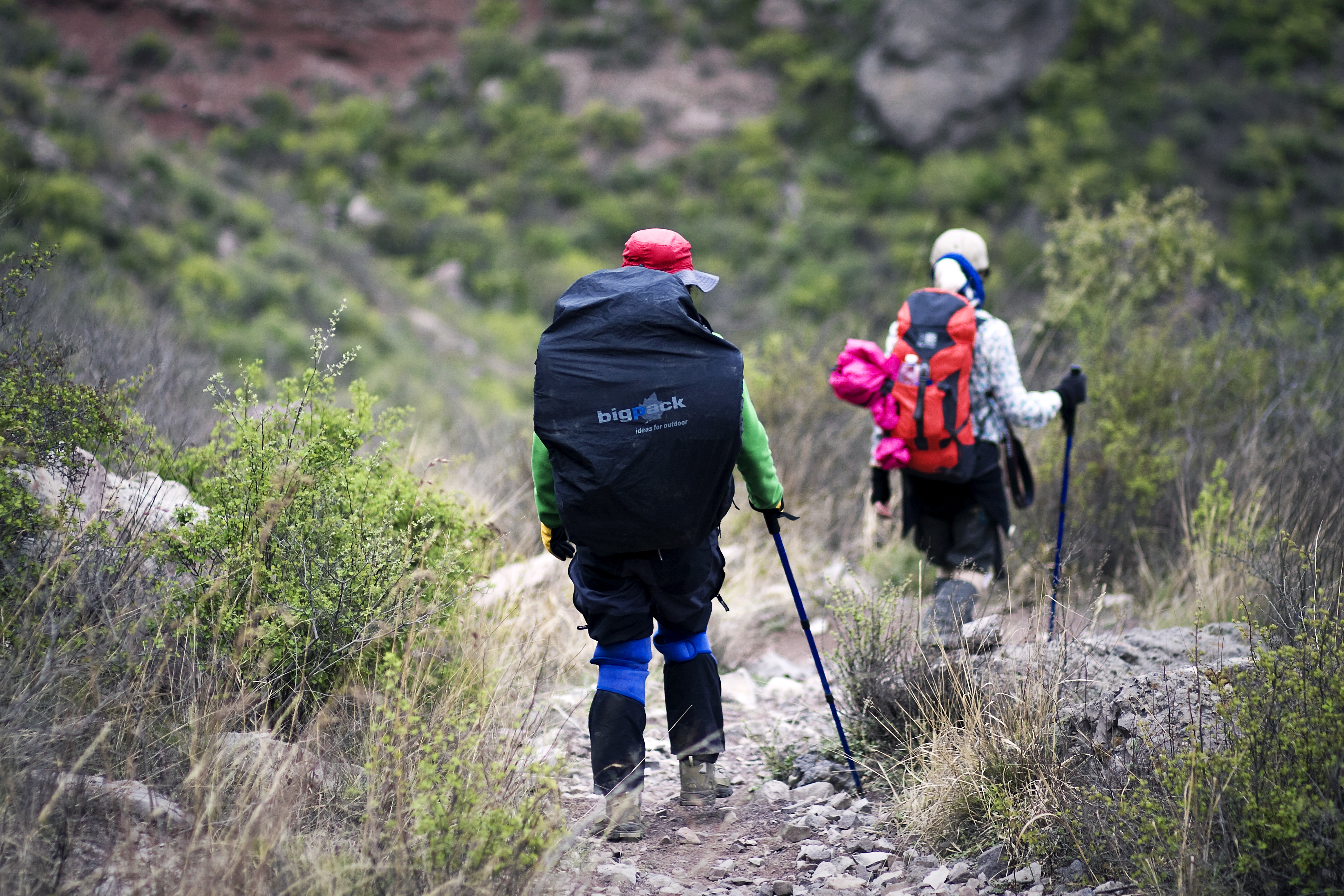手表太阳定方向的原理,在野外生存怎么利用手表定方向