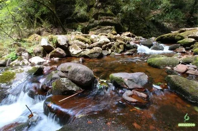 鍏板潽鍗拌薄,鍏板潽涔″湡鍗拌薄