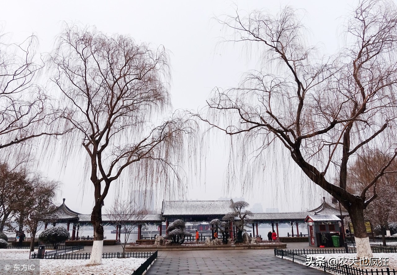 今日大寒农谚,今日大寒天气暖下一句