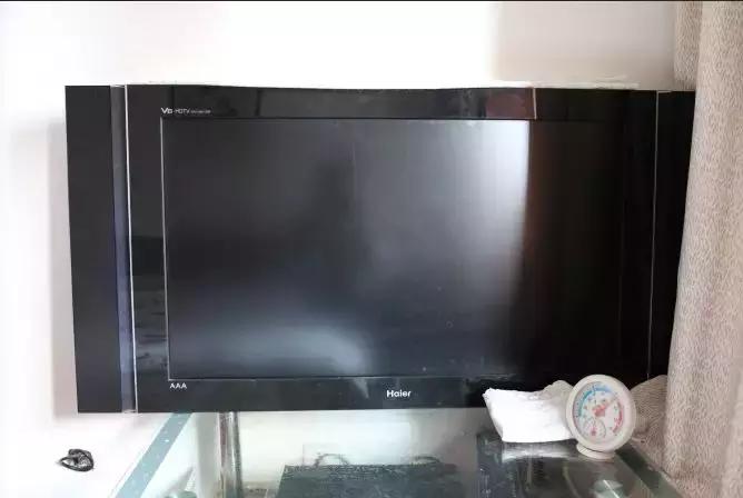 71岁老人，31岁海尔立式冷柜和1岁博物馆的别样情缘