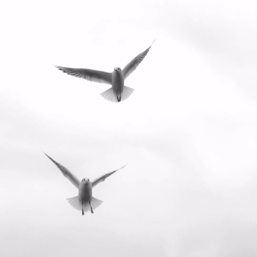 iphone手机相机的各个功能介绍,新手iphone使用注意事项