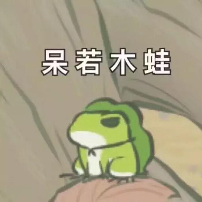 公猫可以有多个乳房吗,公猫也长乳房吗