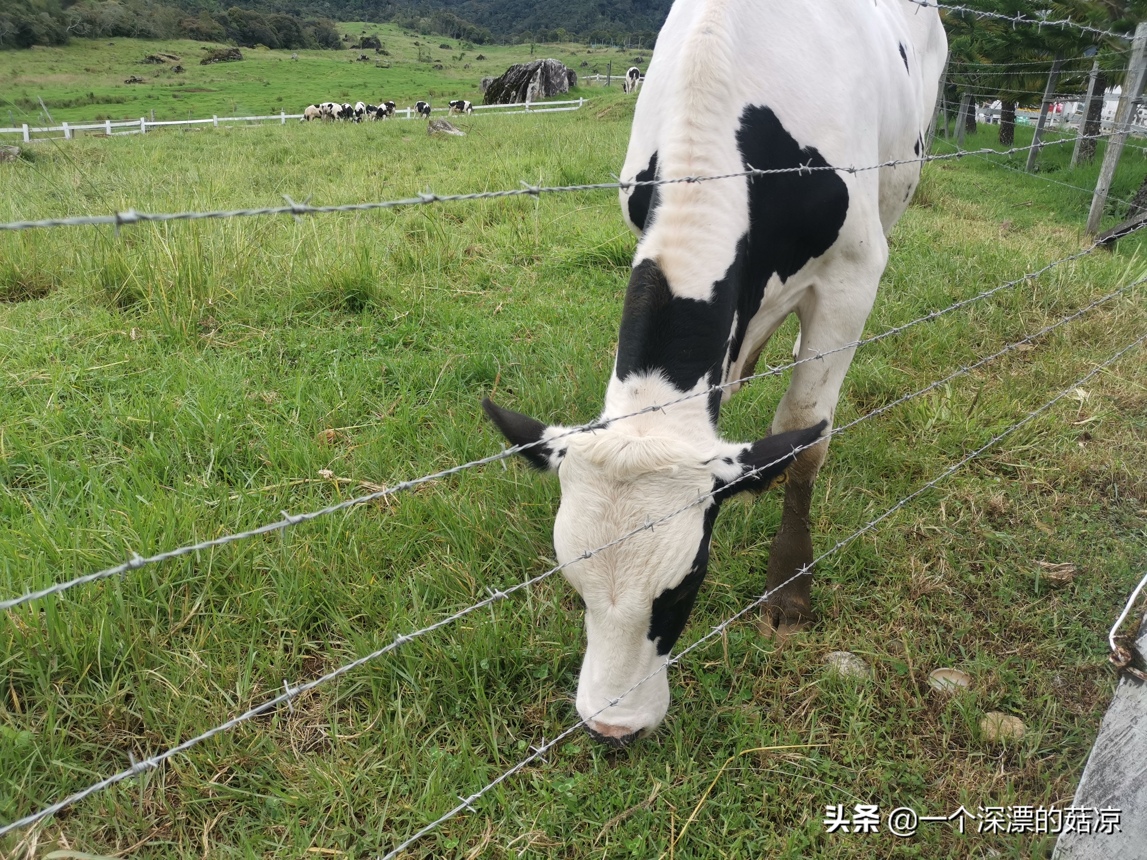 在夏天结束前去海边,在夏天结束之前去一次海边