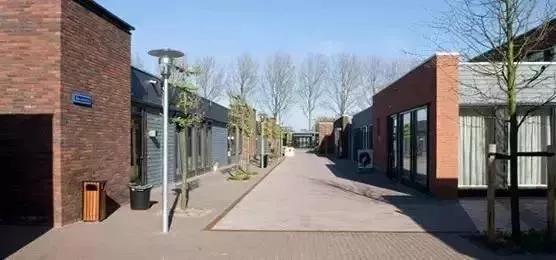 世界上最伟大的*局骗**:152名老人被骗8年,却觉得无比快乐