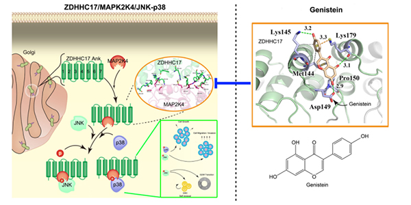 厉害了！安徽可以招生研究生的的2所研究院，涵11个研究单元