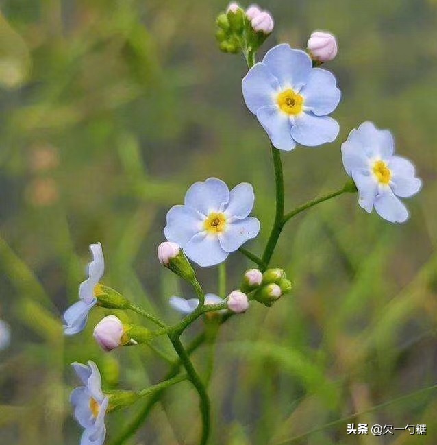 她得了宫颈癌被老公抛弃,宫颈癌女人的下场