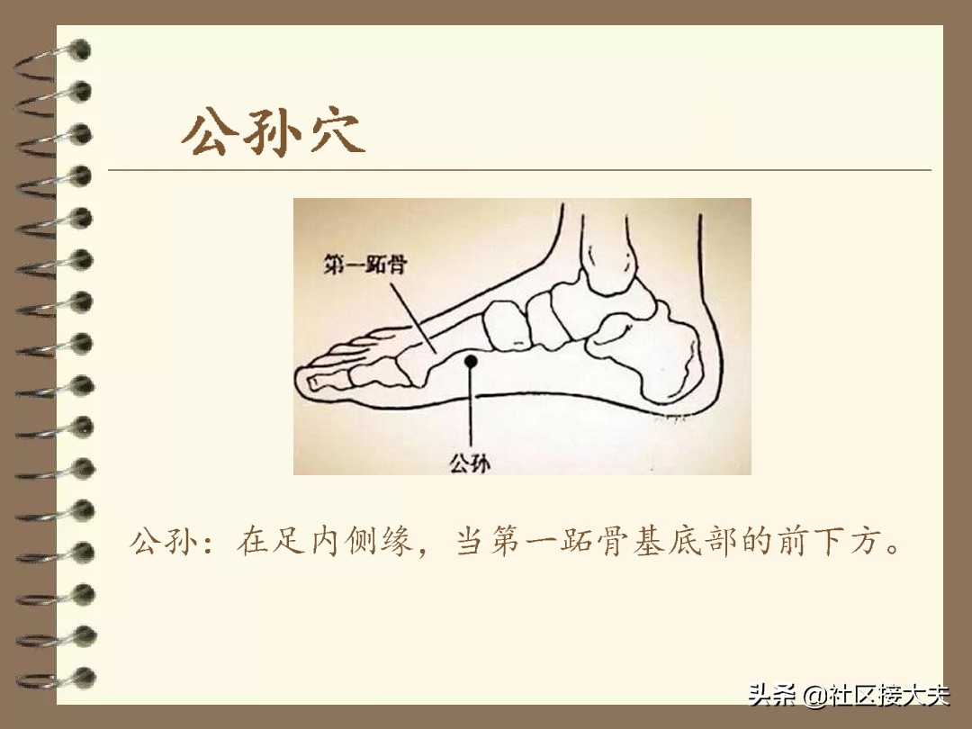 常见病针灸穴位,刘红云针灸治疗泄泻