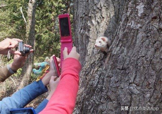 讽刺与幽默:你知道老美是怎么调侃他们的乡下人的吗?