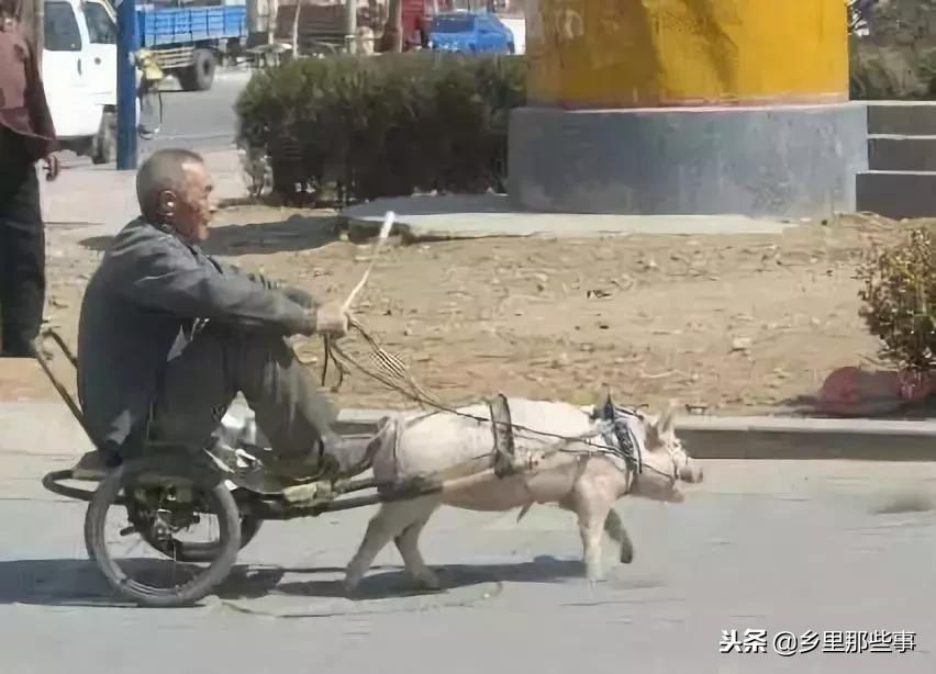 车！车！车！车！车！车！车！车！车！车！车！车！车！车！