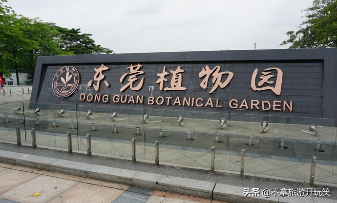 东莞植物园美丽好风景,东莞植物园有什么景色