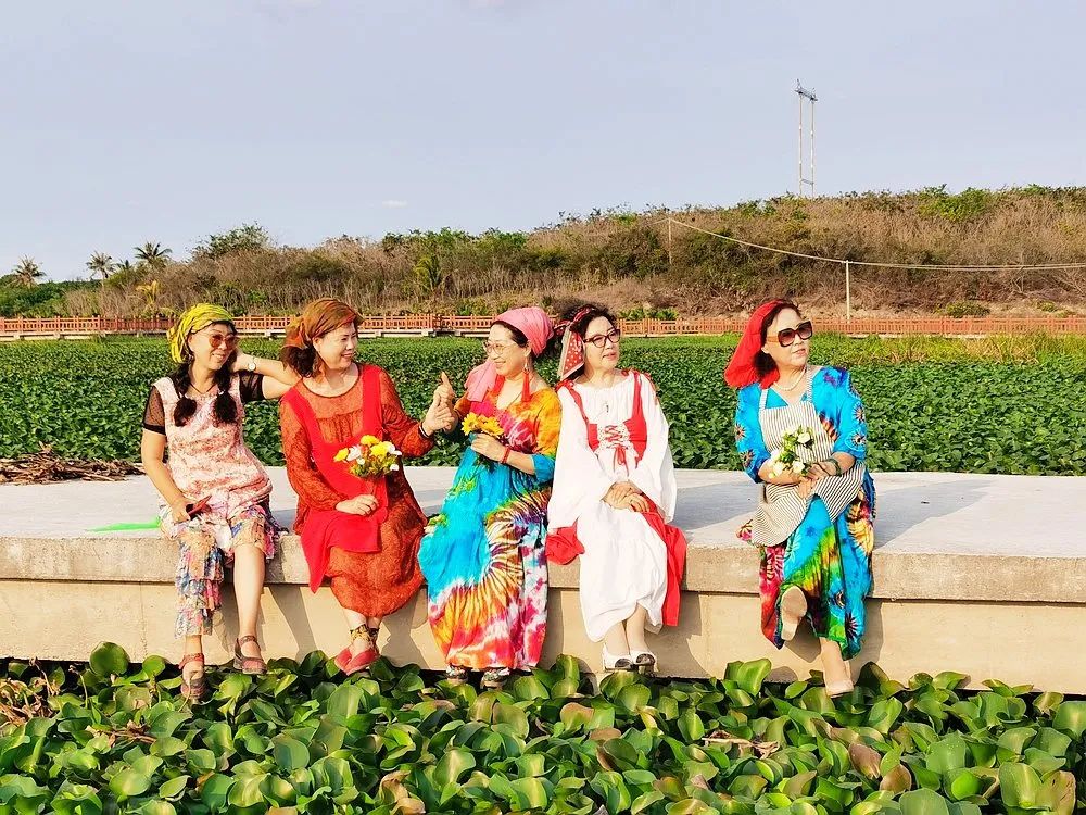 做把“村姑”,走进海南灯火灿烂的火龙果园