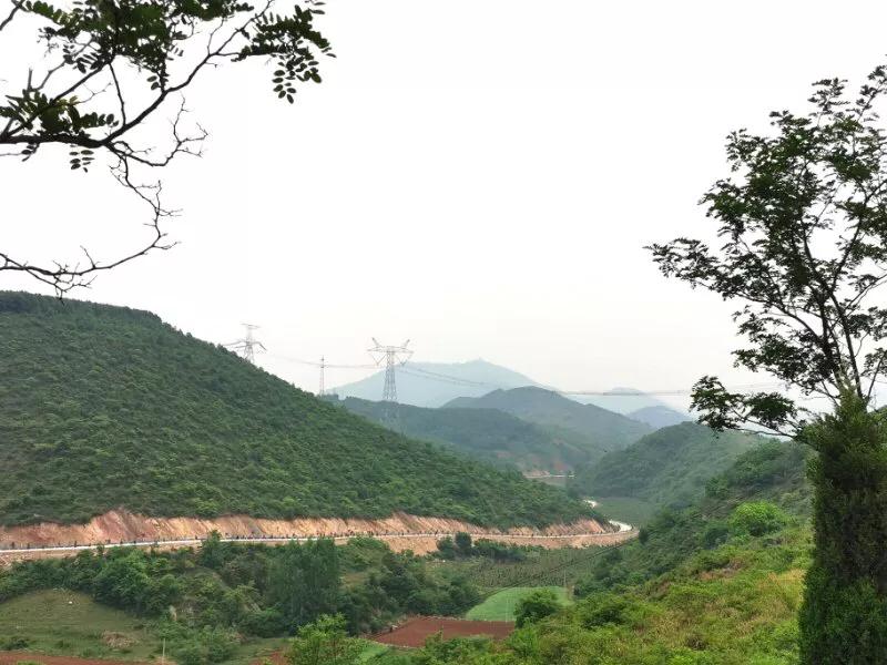 手拍世界,手拍世界作品专集