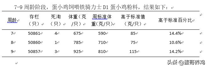 鸡场养雏鸡怎么增加体重,雏鸡怎么管理最健康