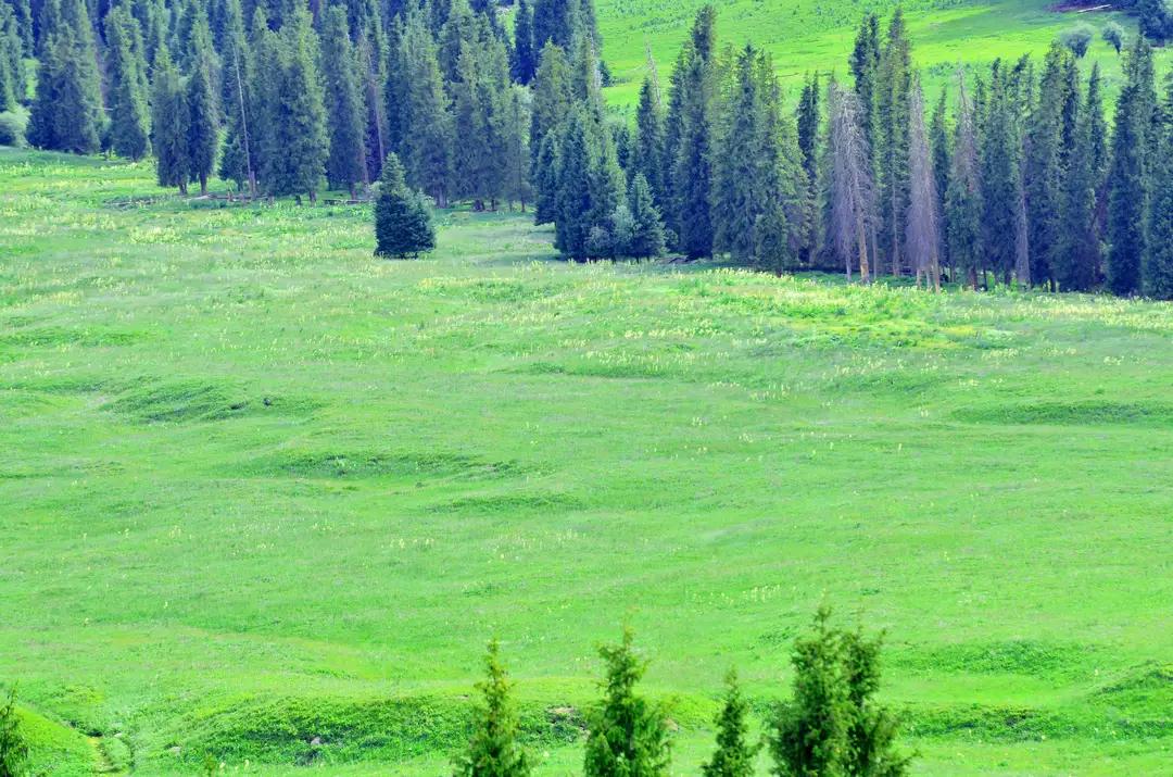 在哈密的一天,在哈密的真实生活