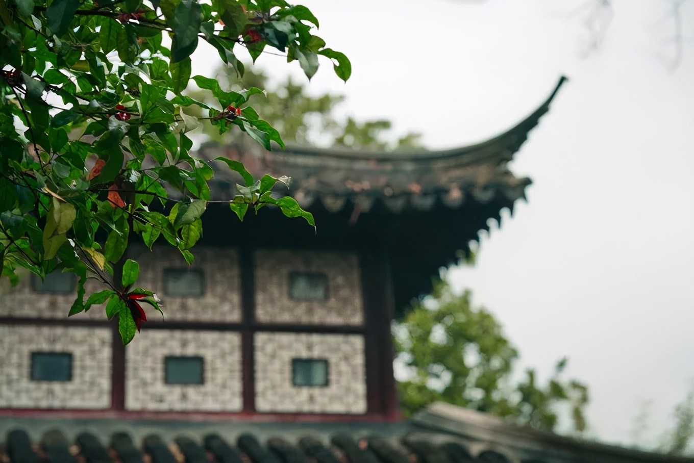 苏州真正的烟雨江南在哪里,江南烟雨苏州古城