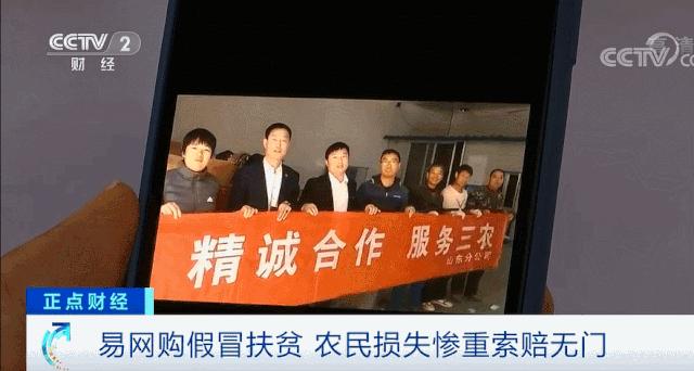 易网购诈骗案,易网购被骗怎么办