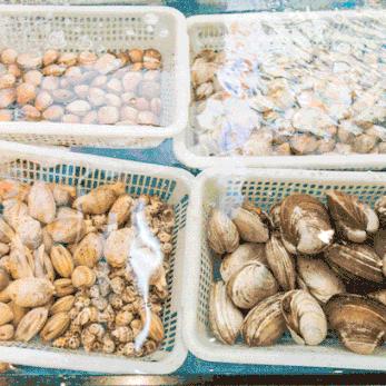 千万别去侨港,怕你玩得太开心不想回家