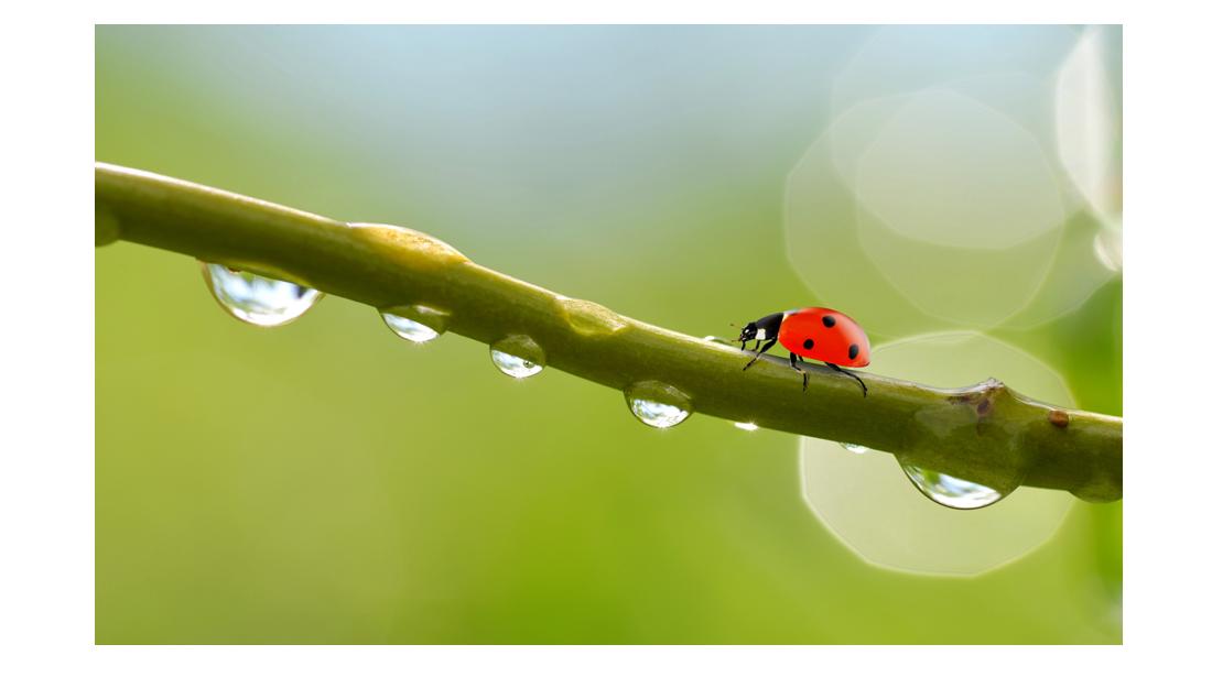 觉知力与专注力的训练,短时间怎么提高专注力
