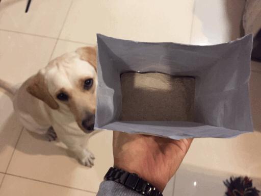 狗狗偏瘦了怎么办,狗狗偏瘦的解决方法