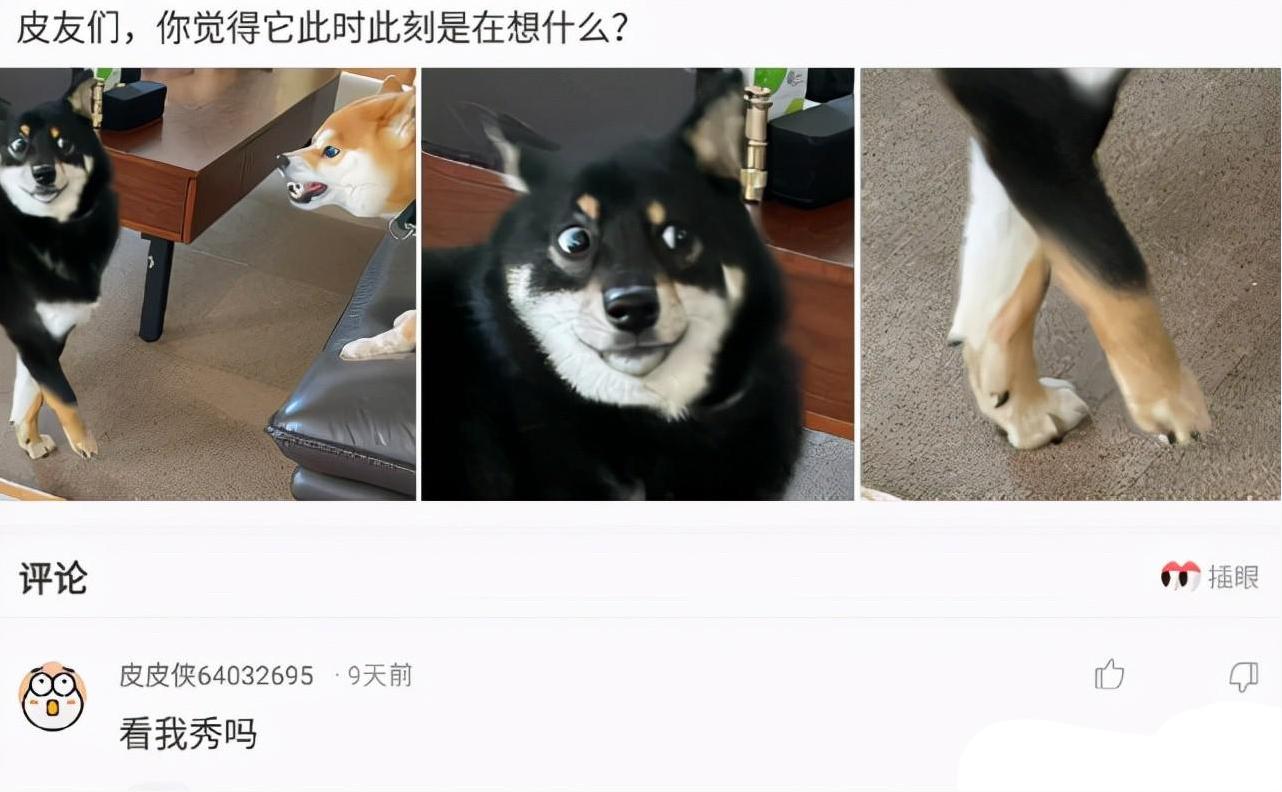 爬山回来手指头长毛什么梗,爬山回来手指头长了几根毛