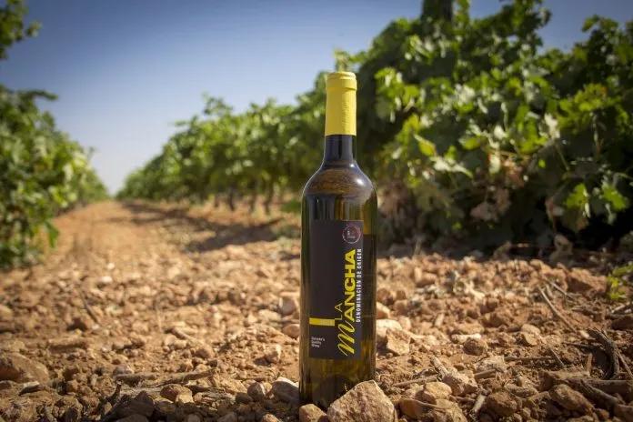 奶酪哪一款口味比较好,哪个品牌的奶酪比较好吃