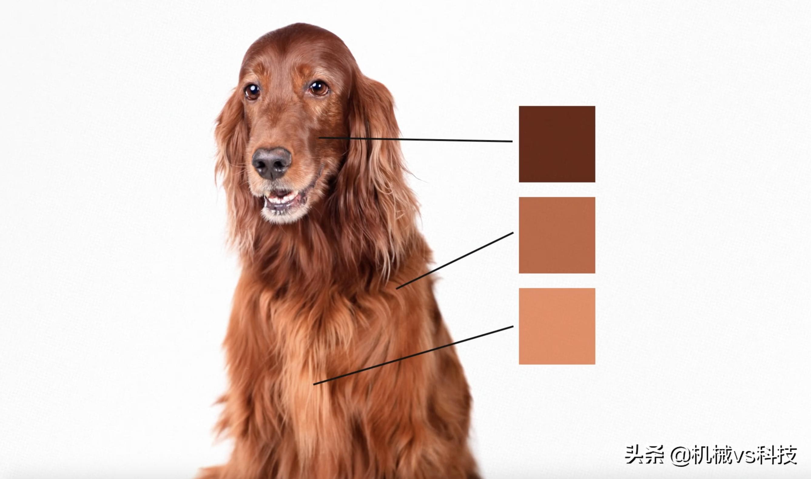 劳斯莱斯汽车为何如此昂贵,史上最昂贵的八款劳斯莱斯