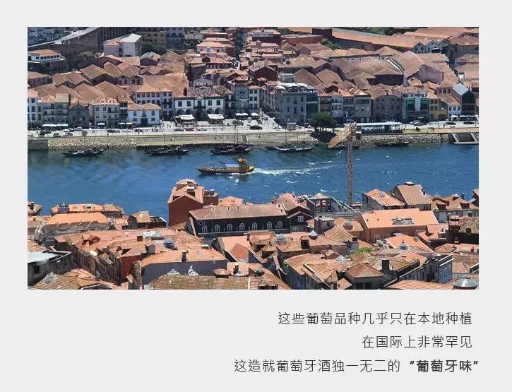 葡萄牙产的葡萄酒一般多少度,葡萄牙葡萄酒术语解读