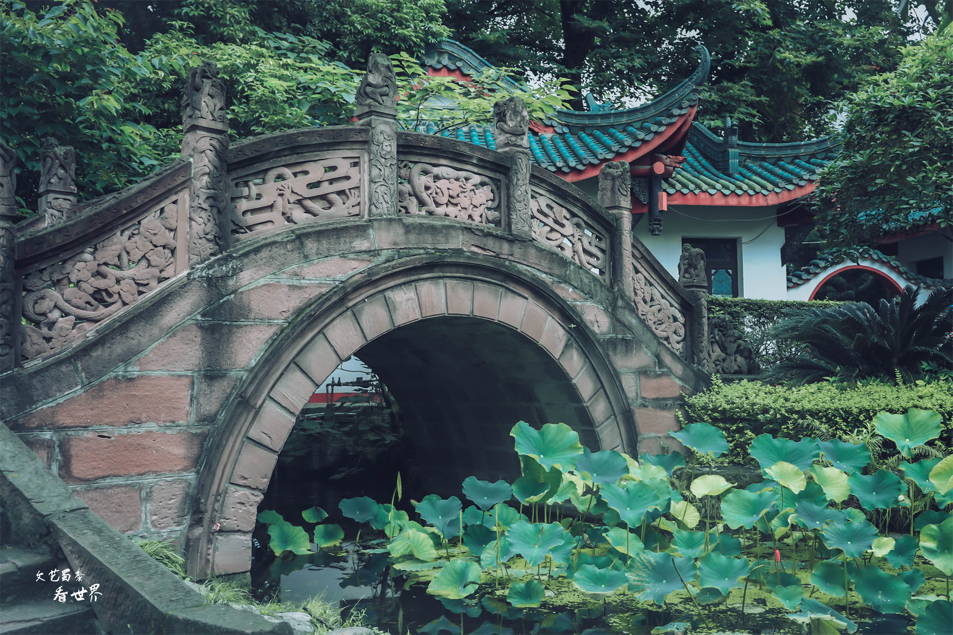 3-4天成都旅游详细攻略,周末去成都的旅游攻略大全