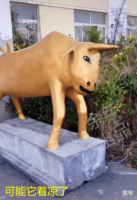 太个性！湖北武汉一公司开业，门口石牛形似“纸扎牛”引人爆笑