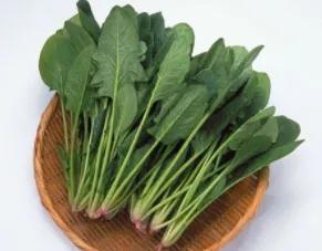 白衣服发黄洗白小窍门,白衣服油渍发黄洗白小窍门