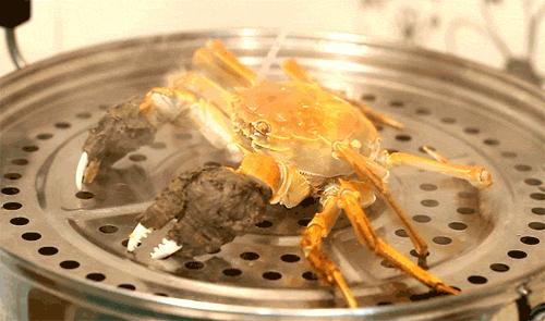 你不知道的13个螃蟹冷知识,螃蟹的冷知识有多可怕