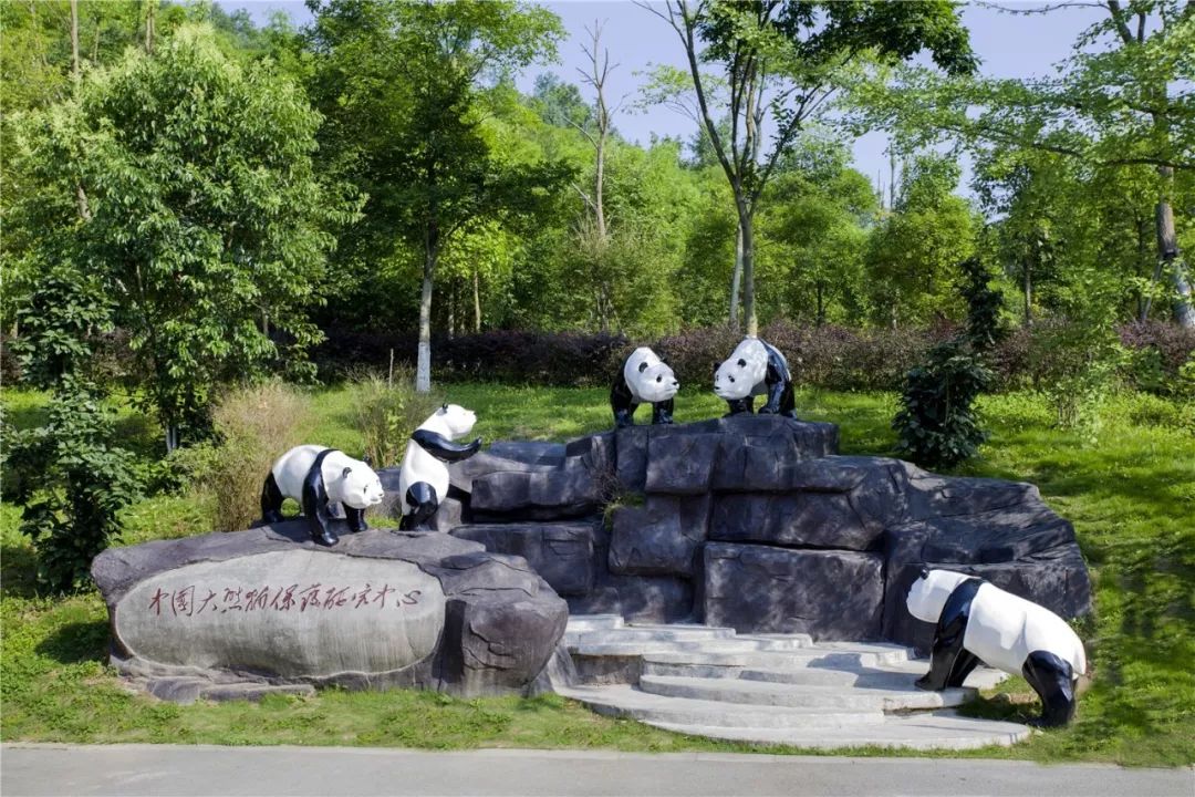 升维·蓄势·行大道丨500余位行业大咖青城山论道！第三届中国旅游上市公司峰会在都江堰市举行！