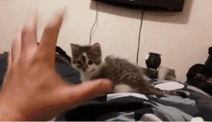 “兄弟睡觉压得胳膊都变色了，要不要叫醒他？”醒来一定很酸爽