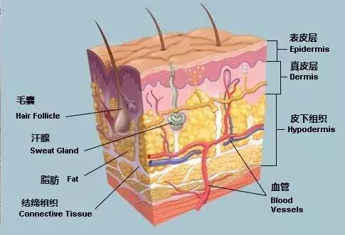 有什么书籍教孩子学会保护自己,写给孩子保护自己的10个方法