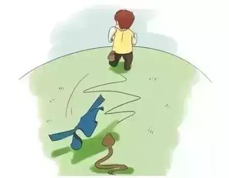 蛇出没高峰期广西,玉林一市民家里藏4条蛇