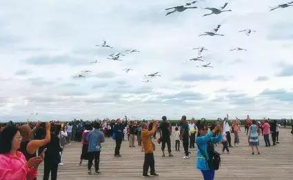 齐齐哈尔未来发展规划,齐齐哈尔发展方案