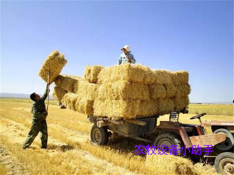 煤炭不能直接燃烧了还有什么用,秸秆燃料耐烧还是煤炭耐烧