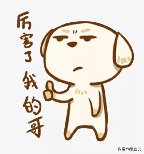 一条串加几个金标效果好,一条串配几百个配饰