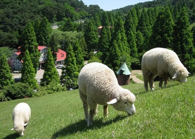 宝藏城市有什么好吃的,神户打卡地