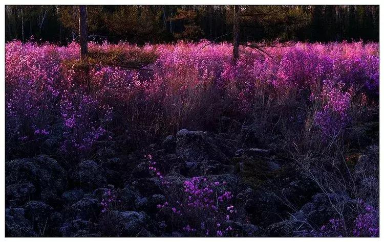 黑龙江旅游小众胜地,黑龙江值得旅游的10个地方