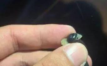 情侣出门旅行被偷拍,小情侣旅游遭偷拍