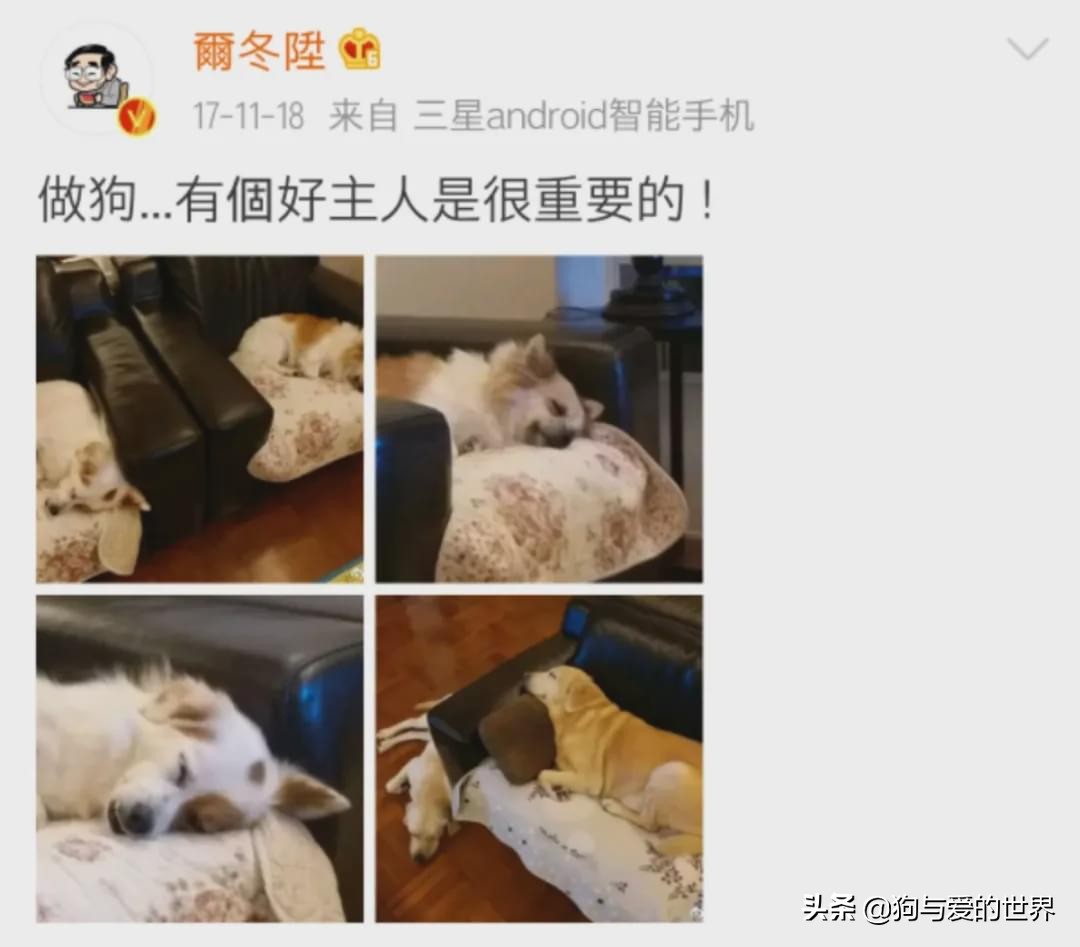 尔冬升怼哭郭敬明的时候 (尔冬升怼哭郭敬明是炒作吗)