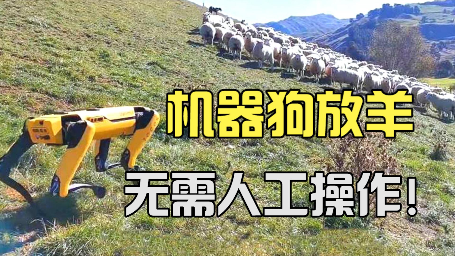 鍥藉鐢ㄦ満鍣ㄧ嫍鏀剧緤瑙嗛,鍥藉鐢ㄦ満鍣ㄧ嫍鏀剧緤